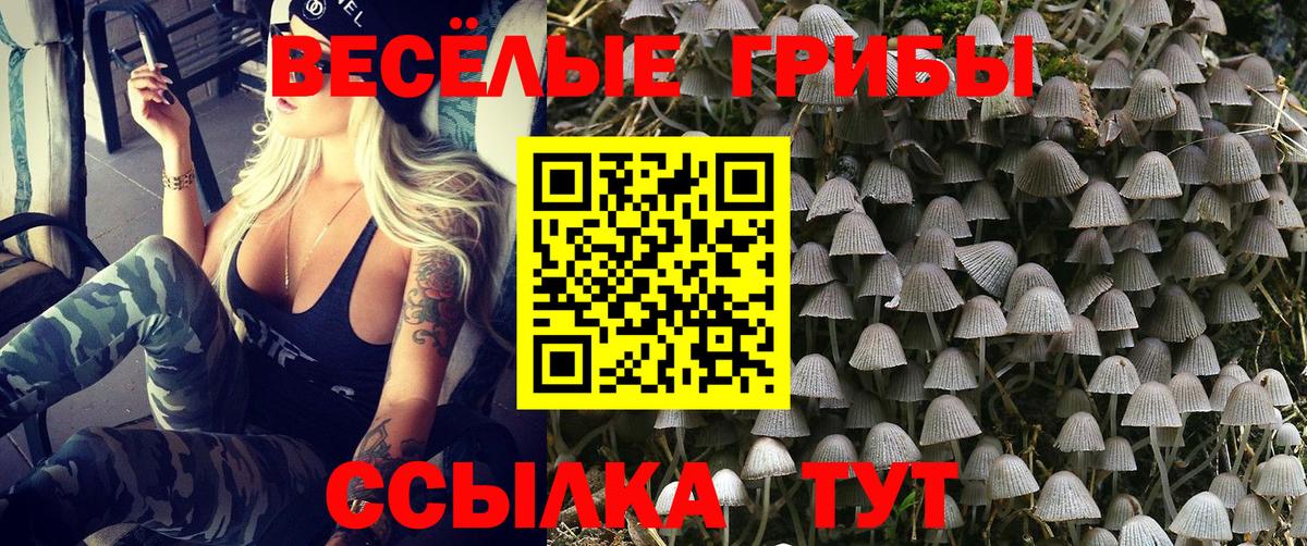 Псилоцибиновые грибы прущие грибы Тула
