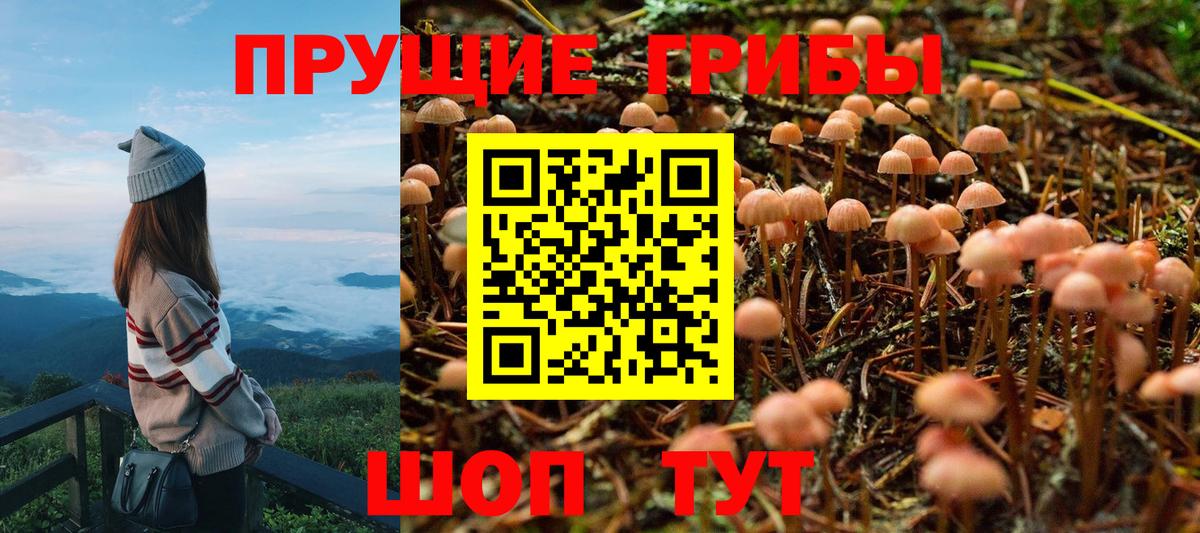 Тула  Псилоцибиновые грибы Magic Shrooms  Вход с VPN 